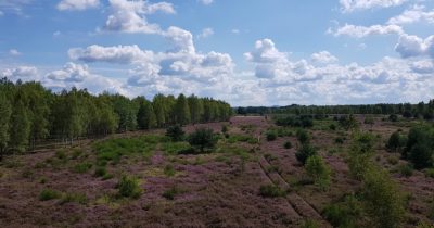 Blick vom Zochauer Heideturm