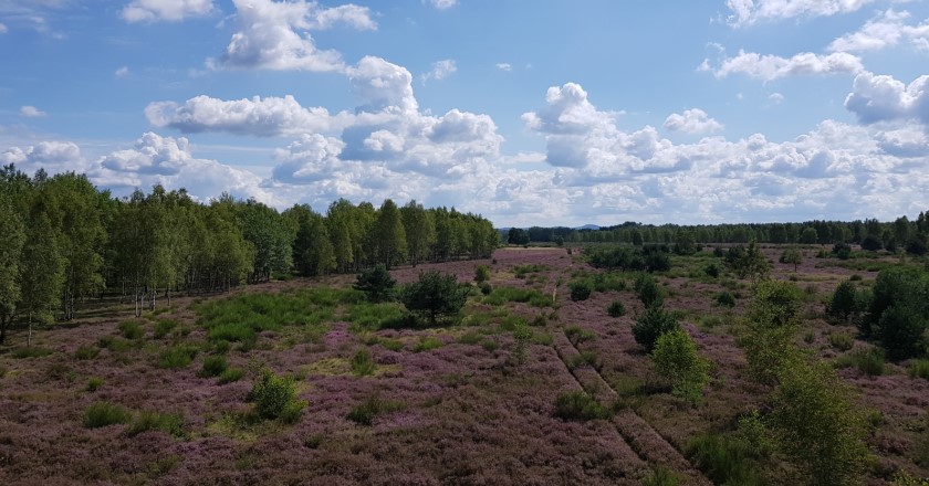 Blick vom Zochauer Heideturm