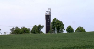 Polenzer Linden