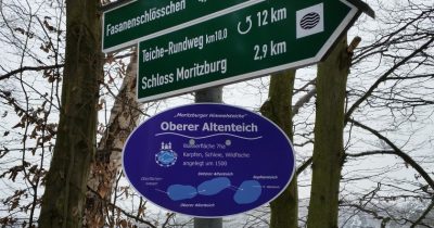 Schilder - aktuell am Altenteich
