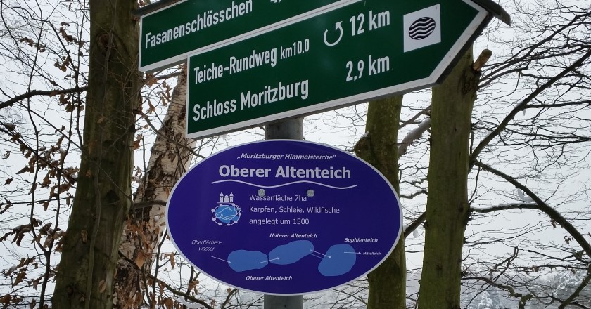 Schilder - aktuell am Altenteich