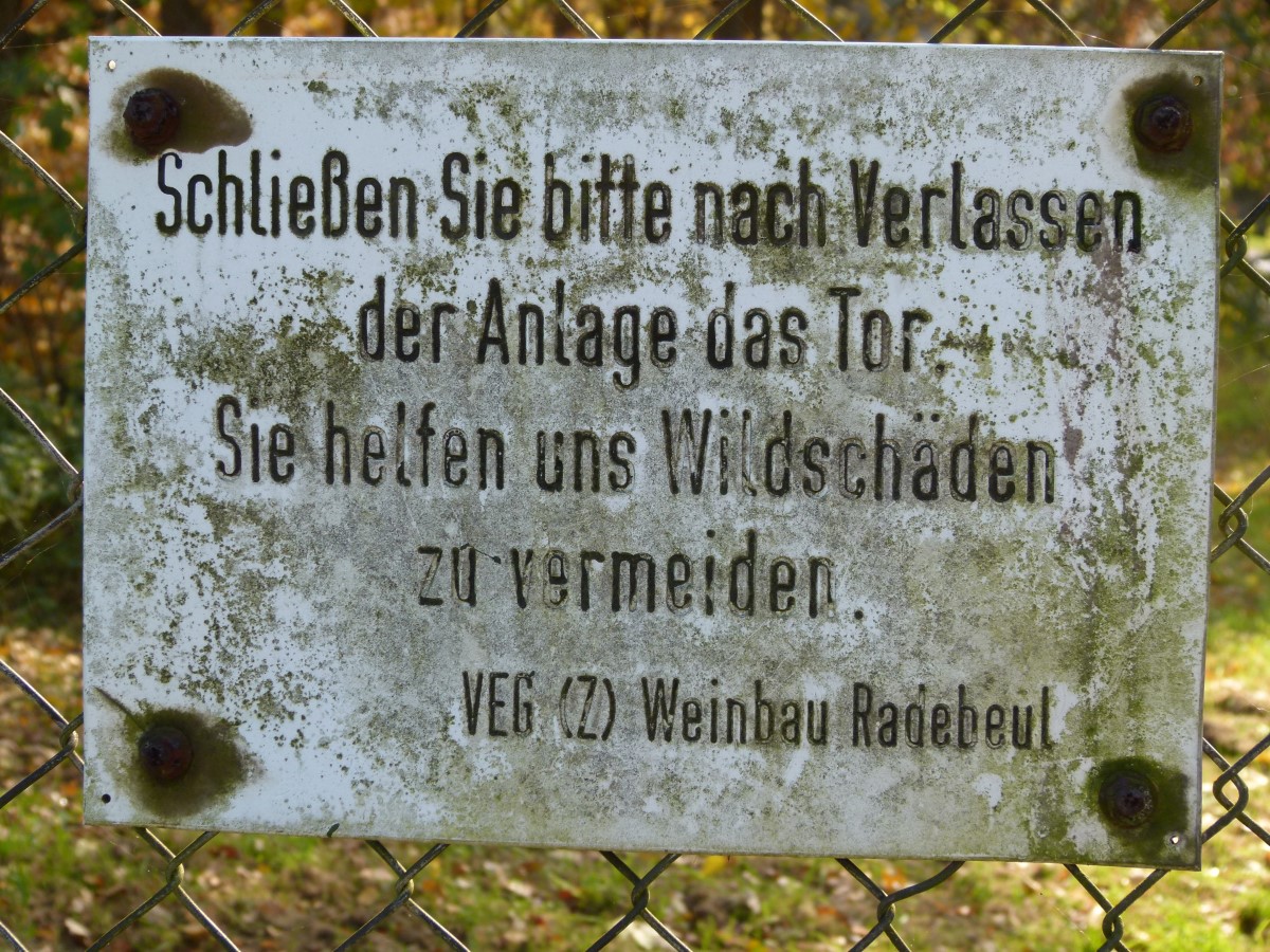 Hinweisschild am Brummochsenloch in Diesbar-Seußlitz