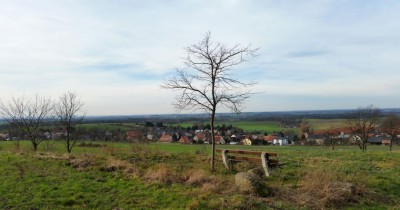 Blick vom Steinberg über Seifersdorf