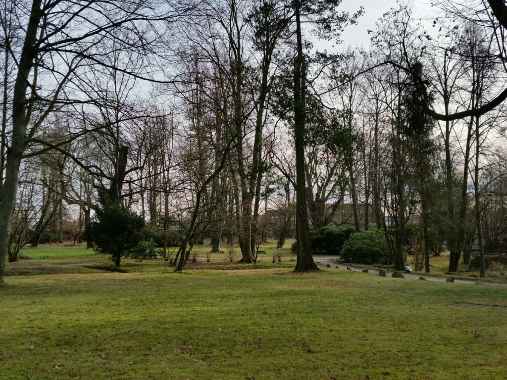 Im Schlosspark in Seifersdorf