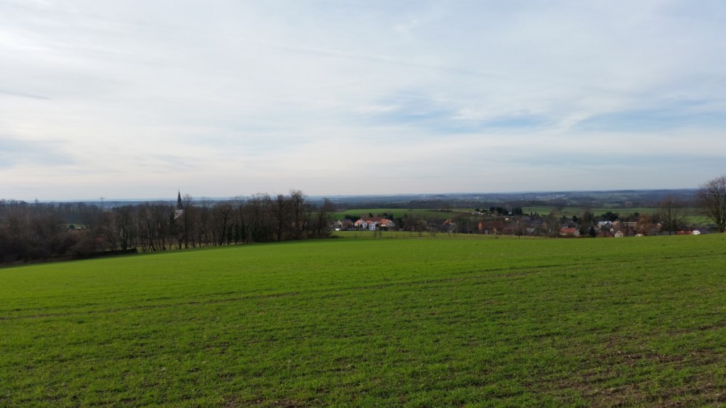 Blick vom Steinberg über Seifersdorf