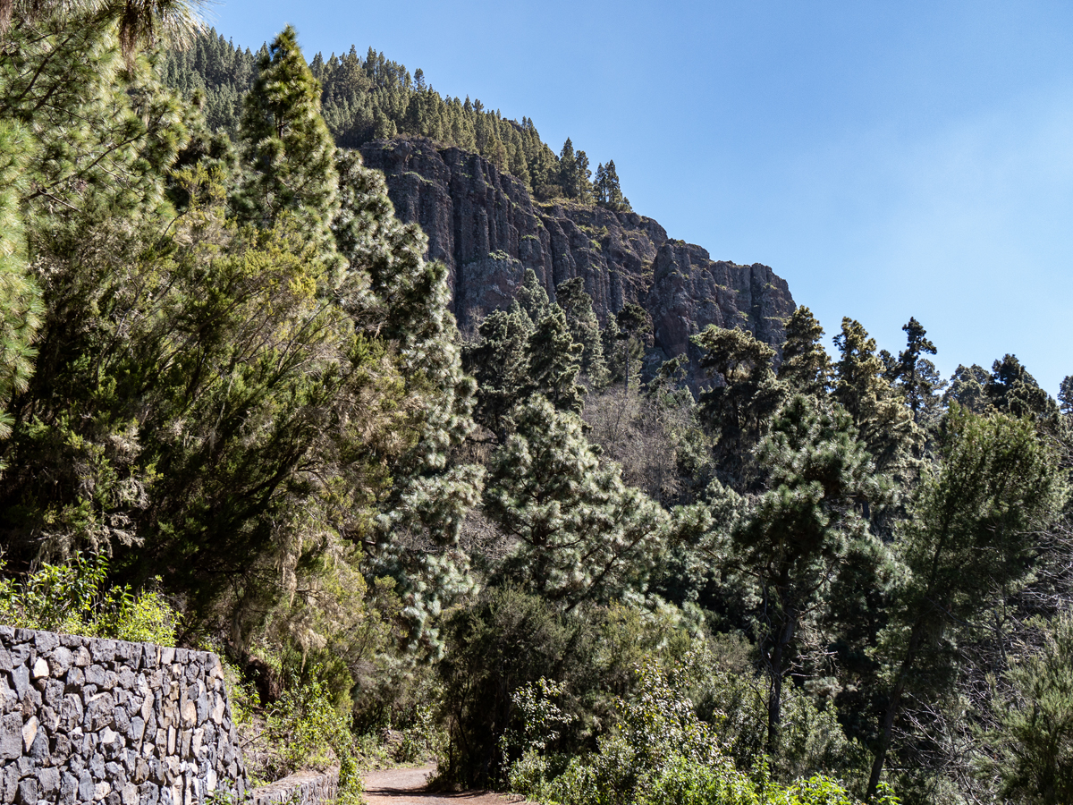 Auf dem Rückweg sind nun die Los Órganos-Felsen zu sehen.