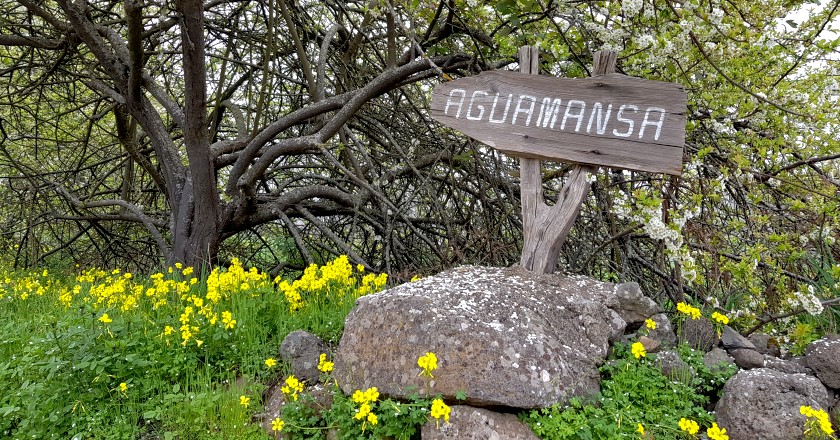 Unterwegs nach Aguamansa